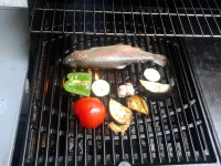 /album/nechce-sa-vam-varit-tak-sa-zastavte-vo-fit-eat/a20140717-184319-jpg/